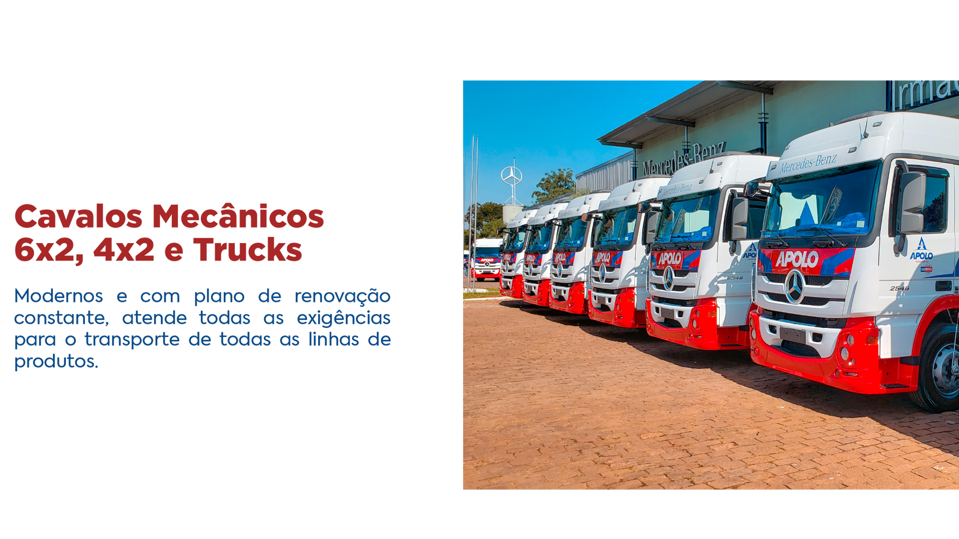 FROTA APOLO TRANSPORTES - CAVALOS MECÂNICOS